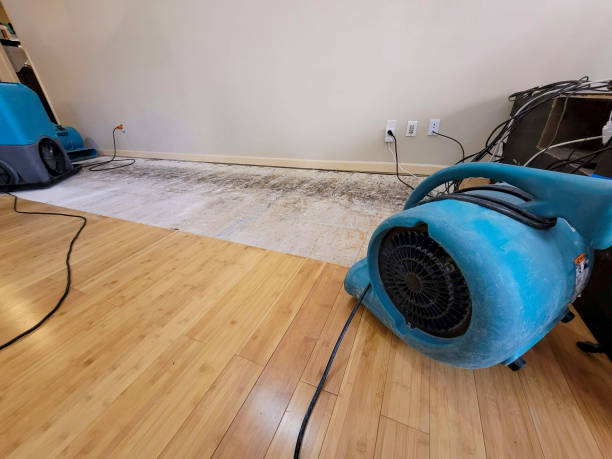Professional Water Damage Repair technician working in Hemet, CA